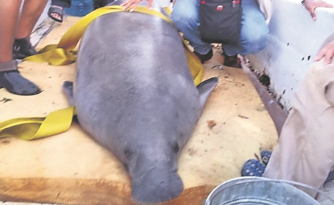 Acciones. Profepa recomendó analizar las sustancias que se encuentran en las descargas de aguas residuales que desembocan en el río Bitzal. ARCHIVO EL UNIVERSAL