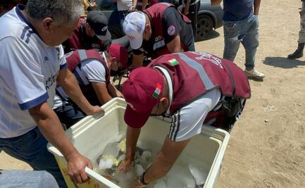 Retiran chelerías en canchas de fútbol de Álvaro Obregón; vecinos denuncian violencia tras partidos