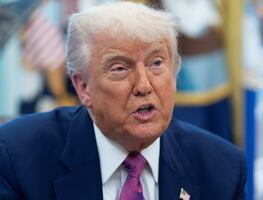 Trump pide a la Corte Suprema que impida acceso de supervisores a documentos del DOGE; gobierno afirma que solo brinda asesoría