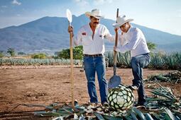 Hoy es el Día del Tequila: guía de actividades en su propia tierra