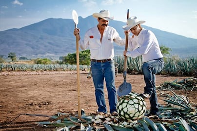 Hoy es el Día del Tequila: guía de actividades en su propia tierra