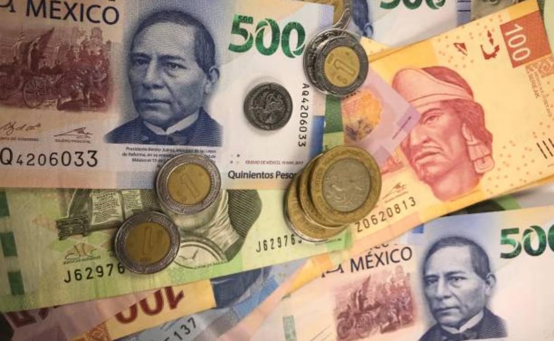 Detectan presunto daño patrimonial por más de 2 mdp en Veracruz durante 2024. Foto: iStock