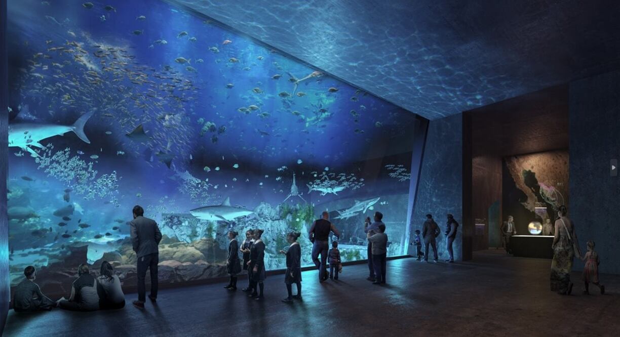 El Gran Acuario Mazatlán estará dedicado al mar de Cortés. Imágenes: Sectur