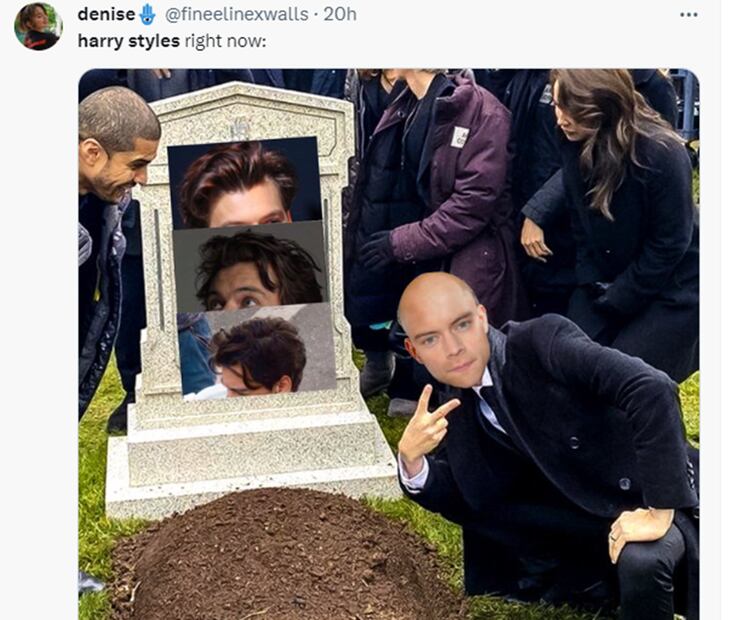 Memes Harry Styles. Foto: Captura de pantalla