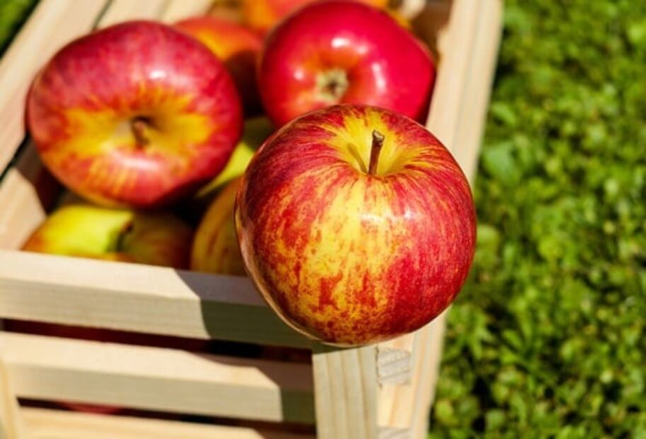 Cuánta fibra necesitas al día y de qué alimentos obtenerla