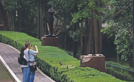 El borrachazo de la escultura de Felipe Calderón en Los Pinos