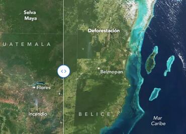 Pérdida de bosques de la Selva Maya ha reducido considerablemente su extensión