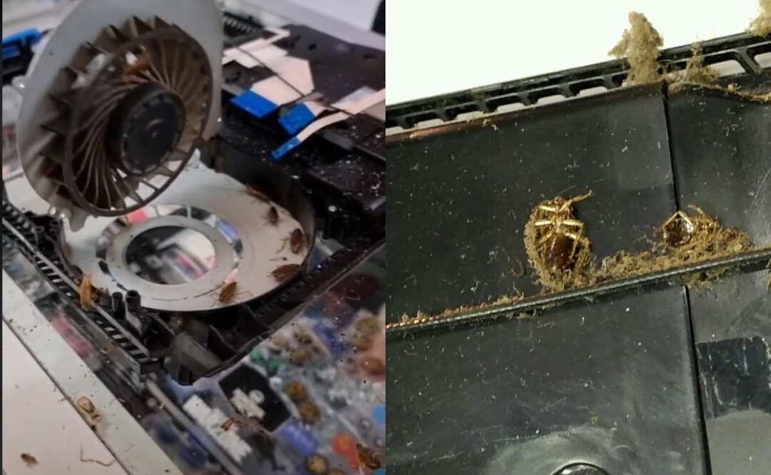 Abren PS4 para arreglarla, descubren colonia de cucarachas