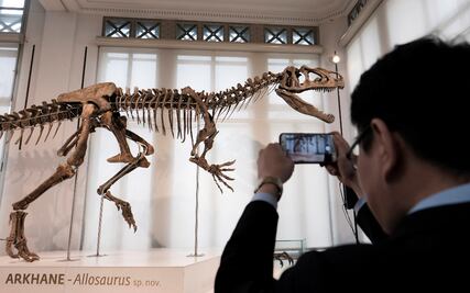 Descubren primera evidencia de un dinosaurio que enfermó de gripe