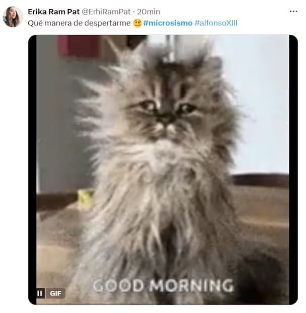 El Yellow Day, los microsismos y el solsticio en los memes de la semana