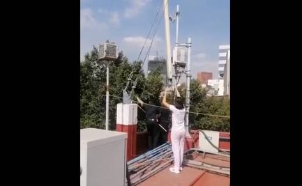 "Lorenzo", un perico perdido en calles de la CDMX moviliza a cuerpos de emergencia 