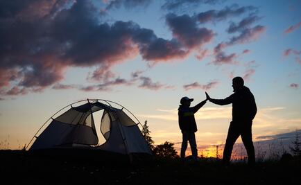 Este Día de Muertos acampa en Xochimilco y convive con ajolotes