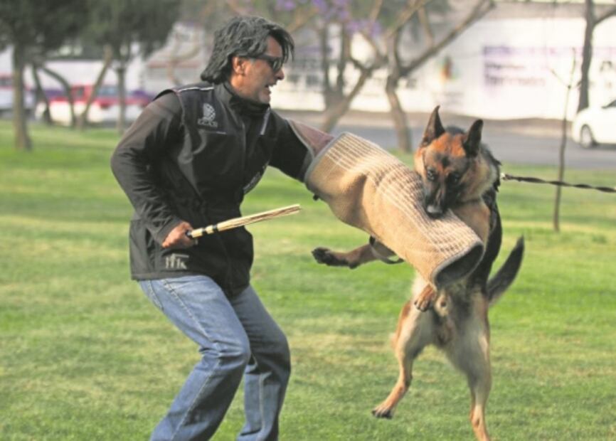 Adiestramiento canino: el hobby que lo salva en pandemia