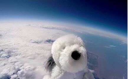 Stuffed dog goes missing in space