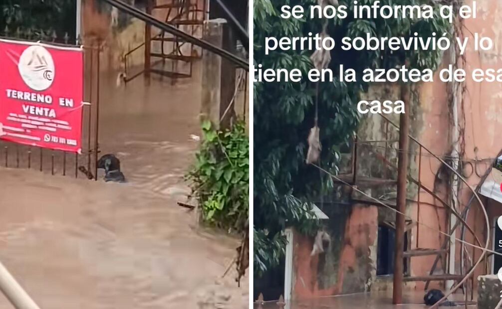 Foto: Captura de pantalla en TikTok