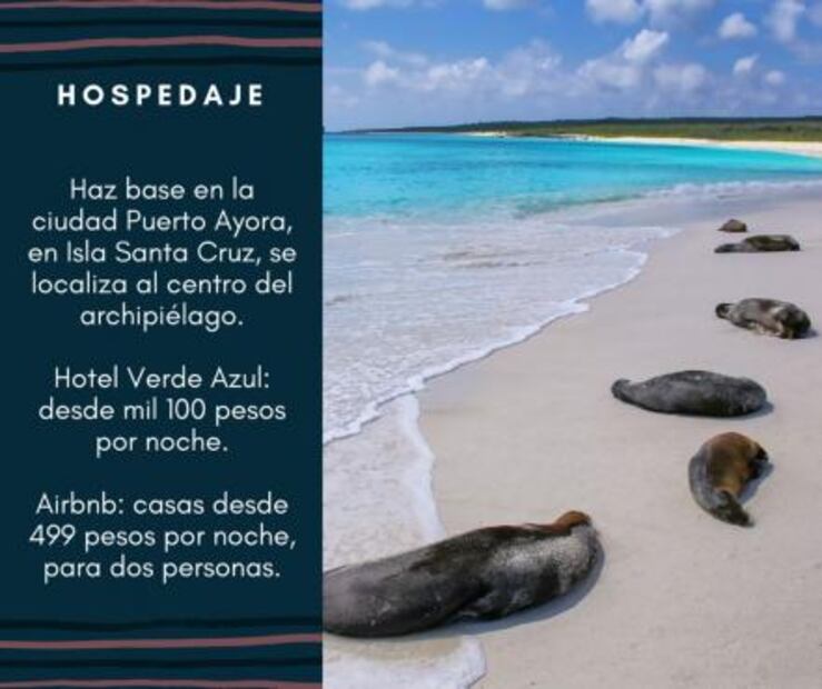 ¿Cuánto debes ahorrar para viajar a Galápagos?