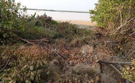 Relleno ilegal amenaza reserva natural en Sisal, Yucatán; vecinos acusan ecocidio y complicidad de autoridades