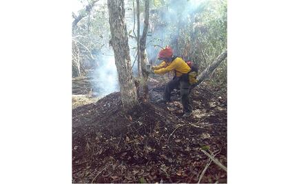 Suman mil 85 hectáreas afectadas por incendio en reserva de Sian Ka´an