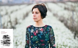 La poesía de Anna Gual desde otro lugar