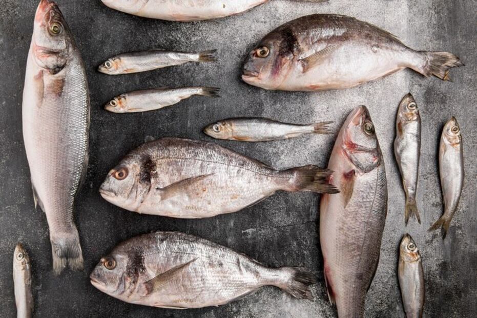 Pescado para el cerebro. Fuente: Freepik