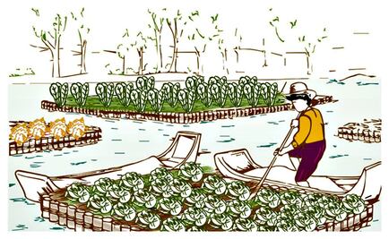 Chinampas, cultivo milenario