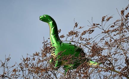 Niño de 5 años muere al intentar meterse en un globo de dinosaurio