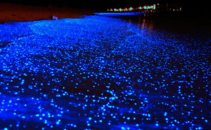 6 playas en México que brillan en la noche