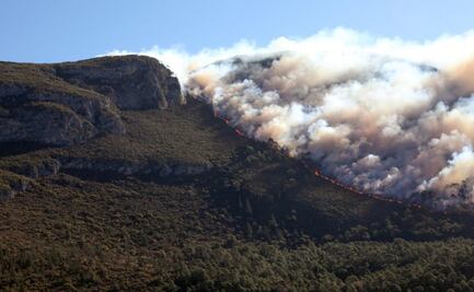 Suspenden combate a incendio forestal en Sierra de Arteaga por riesgo de brigadistas