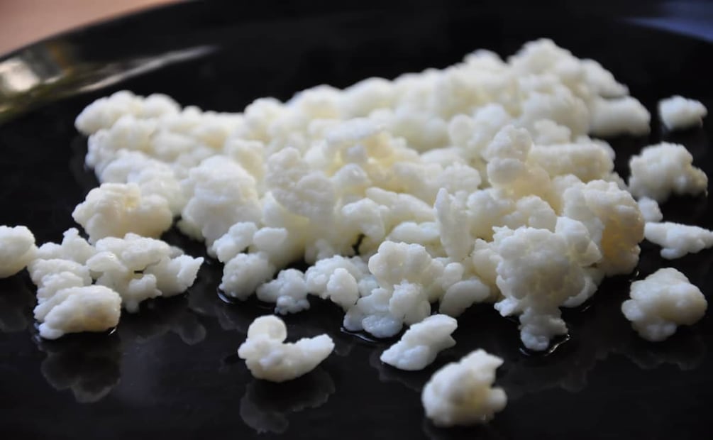 Los búlgaros tienen bacterias que son buenas para la salud intetsinal. Foto: Flickr.
