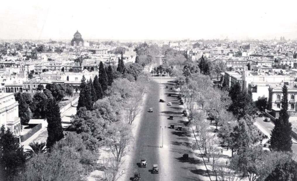 La Palma de Reforma: el adiós llega tras más de 100 años