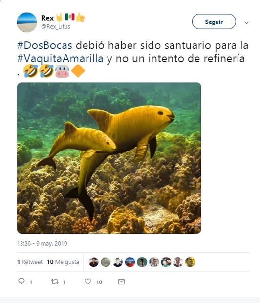 Memes sacan el lado amarillo a Sergio Mayer y a su "vaquita"