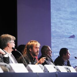 Posible, conservación de la vaquita marina 
