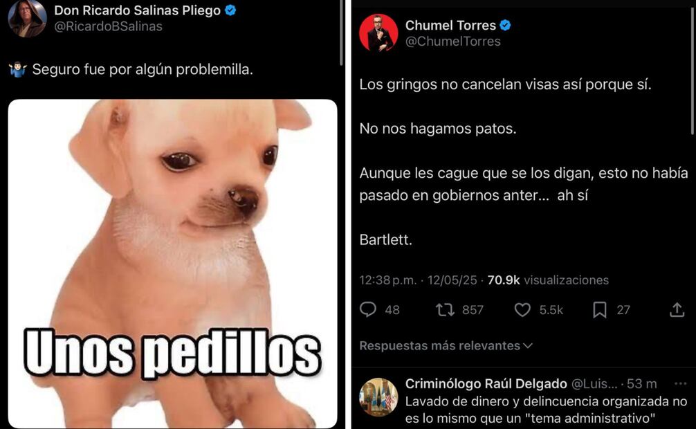 Las declaraciones del empresario y el comediante desataron una ola de comentarios sobre la relación entre el gobierno de Estados Unidos y figuras de Morena

Foto: Captura de pantalla en X