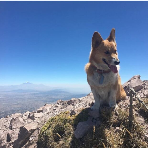Una con final feliz 
