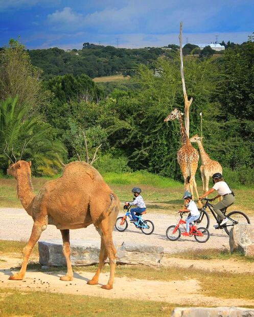 Foto: Áfricam Safari