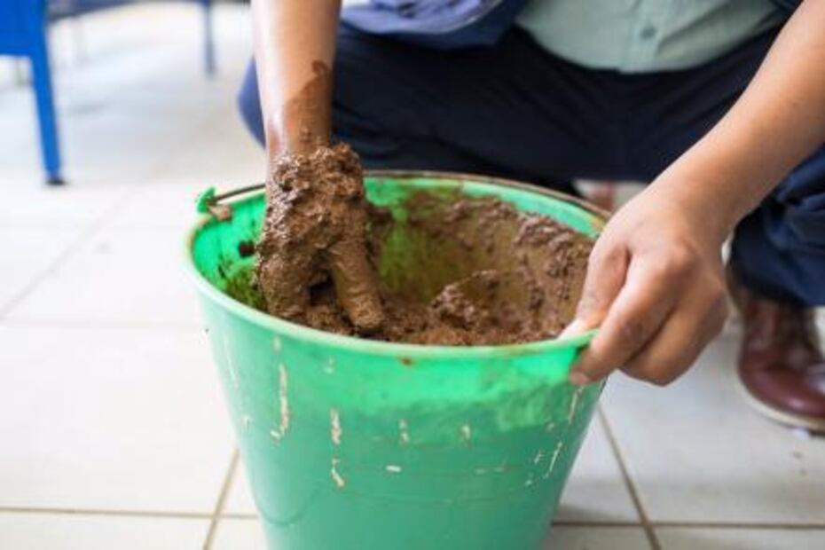 Michoacano crea ladrillos con nopal 