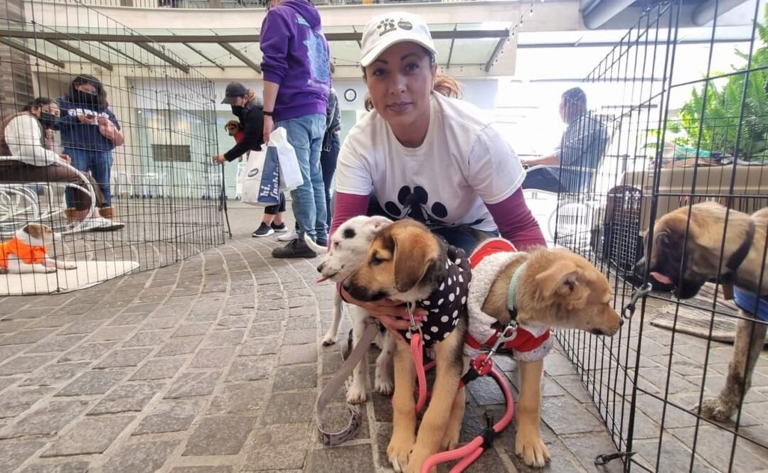 Foto: Claudia Gonzáles. EL UNIVERSAL