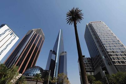 En un mes se tendrá un nuevo ejemplar en la Glorieta de la Palma: Marina Robles