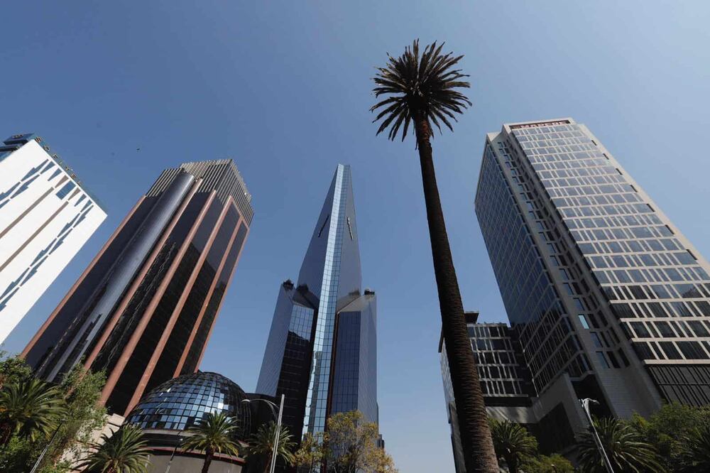 Autoridades informaron que las labores para retirar la palma de Reforma podrían llevar hasta 4 horas. Foto: Berenice Fregoso  EL UNIVERSAL