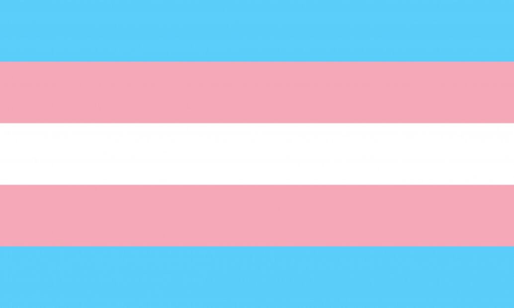 No sólo es la del arcoíris: conoce otras de las banderas de la comunidad LGBTI