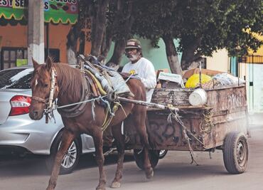 Recolección de basura, un proceso sin modernizar en el oriente del Edomex