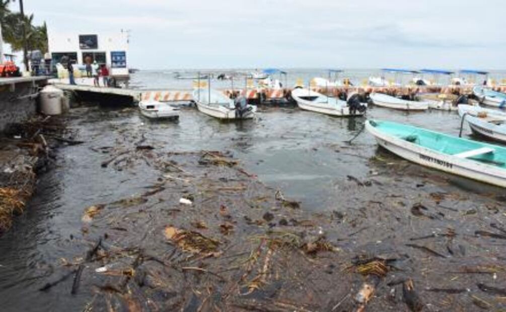 "Katia" causa afectaciones en 8 municipios de Veracruz; tocará tierra el viernes