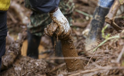 Crisis climática: devastadoras lluvias dejan cientos de muertos y damnificados en todo el mundo