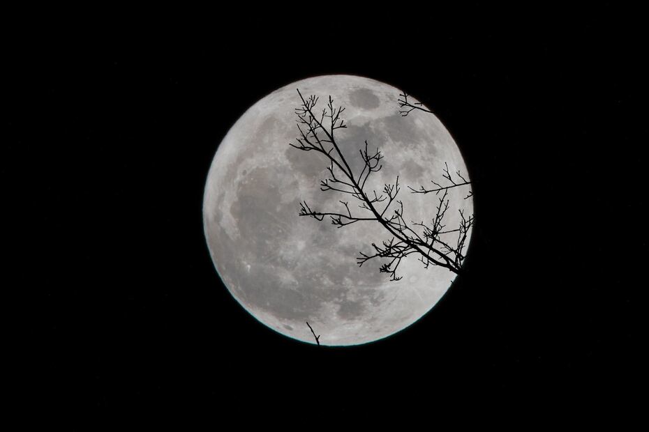La Luna de Gusanos es un fenómeno natural que ocurre cada año, y será visible este fin de semana. / Foto: Unsplash 