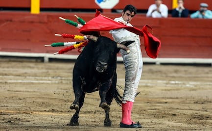 Miguel Ángel Perera: Cada toro es un mundo