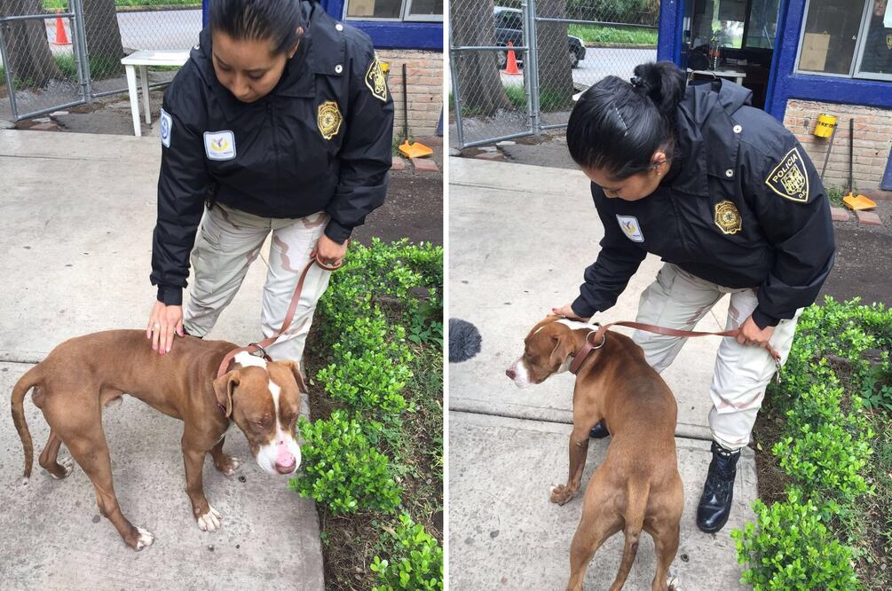 Fotos: tomadas de @SSP_CDMX