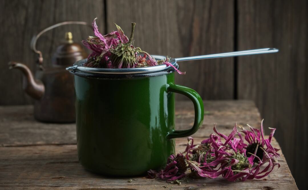 Hierba medicinal | Foto: Canva