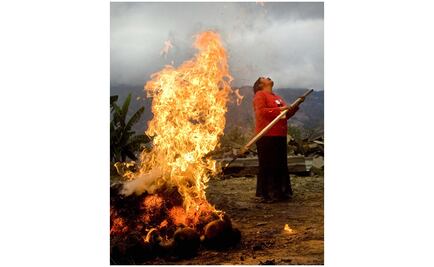 Alfarería de Oaxaca enciende al Franz Mayer