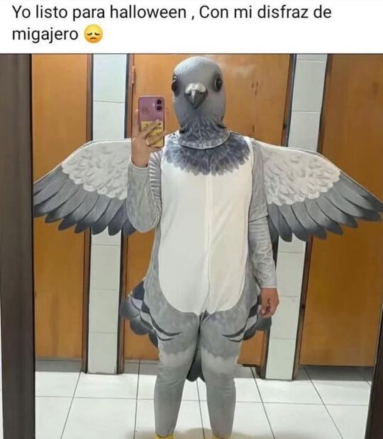 Halloween 2025: los mejores memes para espantar este 31 de octubre