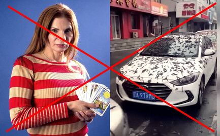 ¿Llovieron gusanos en China como aseguró Mhoni Vidente? Te explicamos de qué se trata
